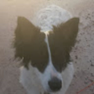 Meet your Posher, Lynette